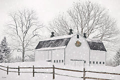 LD4047 - Winter's White Blanket - 18x12