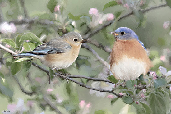 Lori Deiter LD4191 - LD4191 - Bluebirds on Blossoms - 18x12 animals, botanical, holidays & seasonal, birds, wildlife, floral, trees, spring, bluebird, apple blossoms, branch, fledgling, painterly, whimsical, photography, multicolor from Penny Lane