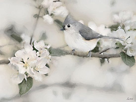 Lori Deiter LD4193 - LD4193 - Apple Blossom Titmouse II - 16x12 animals, botanical, holidays & seasonal, birds, floral, trees, spring, tufted titmouse, blossoms, branch, painterly, whimsical, watercolor, white from Penny Lane
