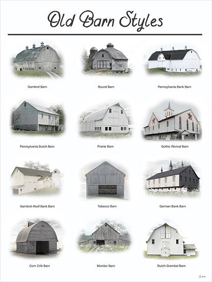 Lori Deiter LD4213 - LD4213 - Old Barn Styles - Barns Only - 12x16 landscape, typography, country, architecture, word art, barn, rural, farmhouse, vintage, folk art, digital painting, neutral from Penny Lane