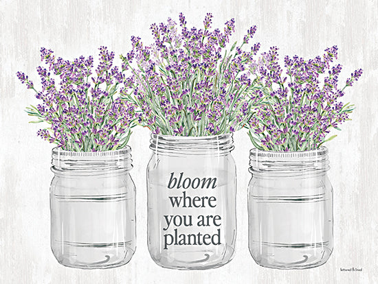 lettered & lined LET1077 - LET1077 - Bloom Where You Are Planted - 16x12 lavender flowers, mason jars, inspirational quote, farmhouse decor from Penny Lane