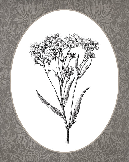 lettered & lined LET1380 - LET1380 - Vintage Botanical VI - 12x16 delicate wildflower stems, botanical etching, vintage floral illustration, neutral palette from Penny Lane