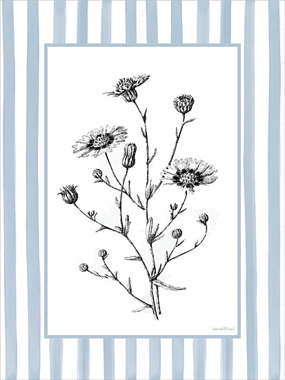 lettered & lined LET1498 - LET1498 - Floral Sketch II - 12x16 botanical, backgrounds & patterns, floral, daisy, wildflower, decorative, vintage, ink drawing, black & white from Penny Lane