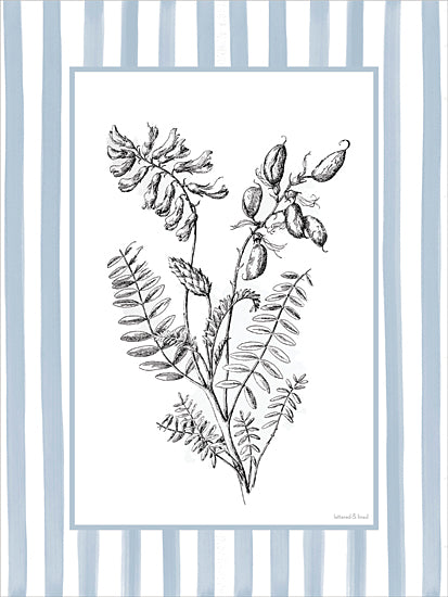 lettered & lined LET1499 - LET1499 - Floral Sketch III - 12x16 botanical, backgrounds & patterns, greenery, leaves, vetch, pods, line art, sketch, vintage, decorative, ink drawing, blue from Penny Lane