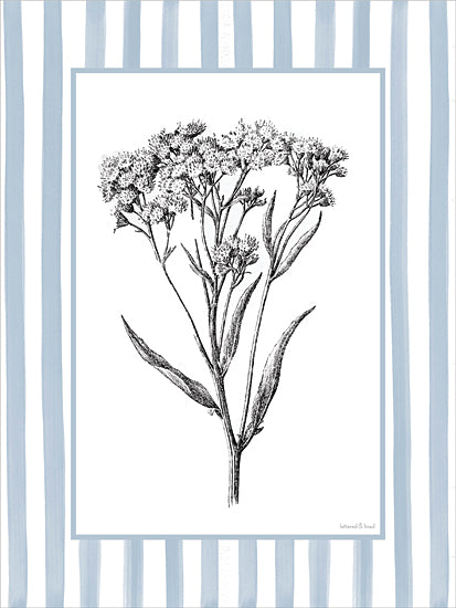 lettered & lined LET1500 - LET1500 - Floral Sketch IV - 12x16 botanical, backgrounds & patterns, floral, yarrow, illustration, striped, vintage, decorative, mixed media, blue from Penny Lane
