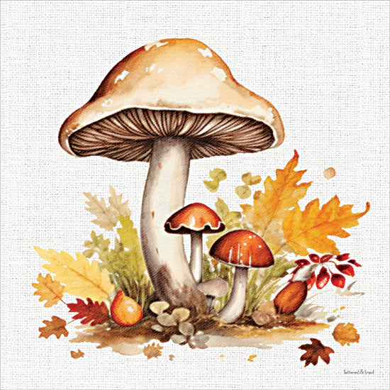 lettered & lined LET1618 - LET1618 - Fall Mushrooms 2 - 12x12 tall mushroom watercolor, woodland plants, autumn leaves, forest botanical art, fall foliage illustration, rustic decor, hand painted fungi, earthy neutral palette, seasonal artwork, cottage style wall art from Penny Lane