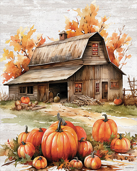 lettered & lined LET1633 - LET1633 - Harvest Homestead - 12x16 autumn barn landscape with pumpkins,fall farm harvest scene,rustic wooden barn illustration,orange pumpkins in field,thanksgiving countryside landscape,watercolor autumn farm painting,country harvest season artwork from Penny Lane