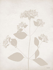 LET572 - Floral Silhouette I - 12x16