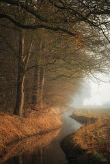 MPP1022 - Bend in the Stream - 12x18