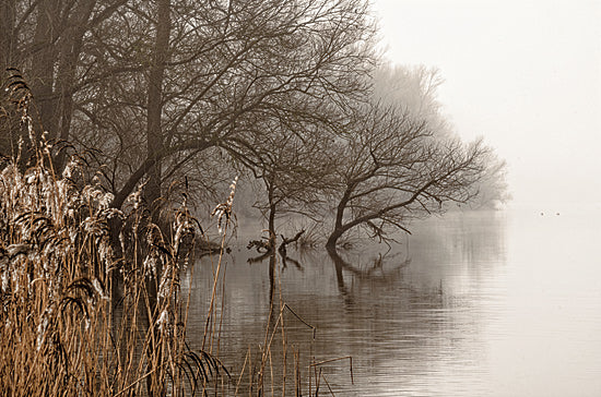 Martin Podt MPP1065 - MPP1065 - In the Swamps    - 18x12 misty lake shoreline, foggy trees reflection, reeds by water, tranquil morning landscape, calm water scene, atmospheric nature photography, lakeside wilderness from Penny Lane