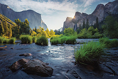 MPP1088 - Yosemite Valley - 18x12