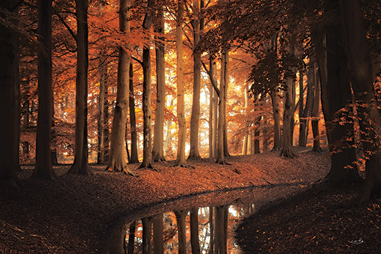 Martin Podt MPP1114 - MPP1114 - In His Presence There is Peace - 18x12 religious autumn landscape, in his presence there is peace, inspirational scripture style quote, reflective woodland scene, fall forest with water reflection, serene christian wall art, warm orange trees, faith based typography, peaceful nature photography, spiritual decor, seasonal inspirational print, calm atmosphere from Penny Lane