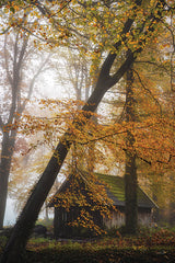 MPP1116 - The Little Barn - 12x18