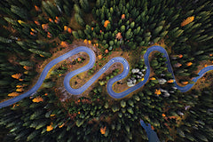 MPP1236 - Snake Road - 18x12