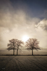 MPP1263 - On a Winter's Day - 12x18