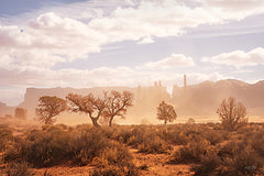 MPP1277 - Sandstorm in Monument Valley - 18x12