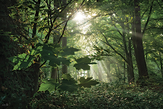 Martin Podt MPP1300 - MPP1300 - Morning Rays II - 18x12 lush forest with sunbeams, dense green foliage, woodland light rays through leaves from Penny Lane