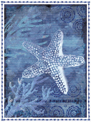 ND696 - Coastal Starfish - 12x16