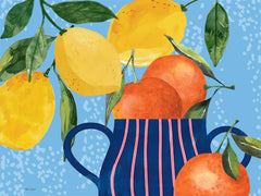 ND853 - Citrus Fruit Pitcher - 16x12