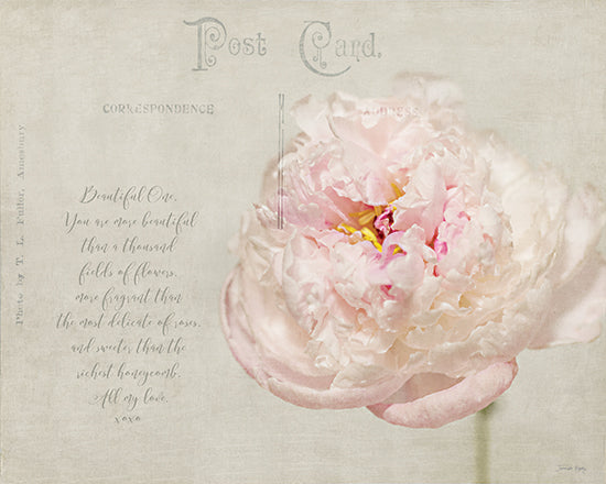 Jennifer Rigsby RIG282 - RIG282 - Beautiful One Letter - 16x12 vintage postcard, peony flower, romantic message, pastel tones, floral photography, elegant background, nostalgic design, textured art print from Penny Lane