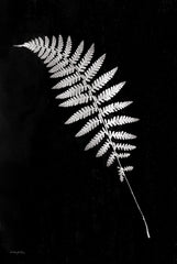 RLV759 - Simple Fern - 12x18
