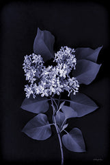 RLV776 - Blooming in Indigo II - 12x18