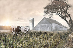 RLV835 - Cows in the Corn - 18x12