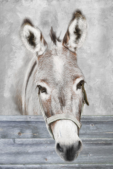 Robin-Lee Vieira RLV839 - RLV839 - Sunny in the Barn - 12x18 donkey portrait over wooden fence, farm animal closeup, rustic barnyard animal, friendly mule face from Penny Lane