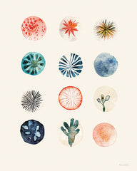 SA129 - Botanical Flora - 12x16