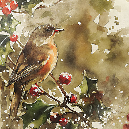 Svetlana Aleinikova SA555 - SA555 - Robin on the Holly - 12x12 animals, holidays & seasonal, botanical, birds, winter, christmas, greenery, leaves, holly, berries, robin, snowy, painterly, whimsical, watercolor, red from Penny Lane
