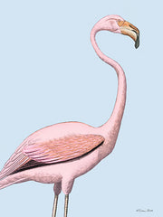 SB1483 - Flamingo - 12x16