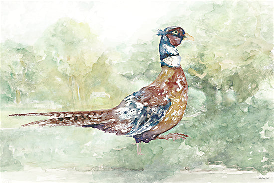Stellar Design Studio SDS1567 - SDS1567 - Woodland Wanderer 1 - 18x12 pheasant bird, watercolor wildlife art, green landscape, rural country theme, colorful feathers, nature painting, outdoor scene, soft brush texture, realistic country bird from Penny Lane