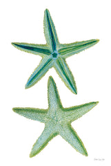 SDS1599 - Starfish Duo 2 - 12x18