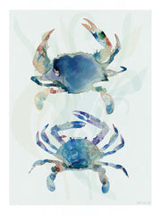 SDS1600 - Blue Crab Duo - 12x16