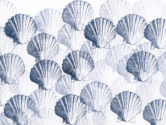 Stellar Design Studio SDS1603 - SDS1603 - Shell Impression - 16x12 blue seashell pattern, scallop shell art, marine motif, watercolor texture, repetitive design, coastal theme, ocean inspired artwork from Penny Lane