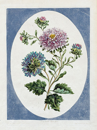Stellar Design Studio SDS1645 - SDS1645 - Double China Aster - 12x16 red vintage pickup truck, christmas tree farm, snowy barn, holiday wreath, winter landscape, rustic farmhouse scene, watercolor country Christmas art, festive red truck, snowflakes, evergreen tree, seasonal decor, rural holiday illustration, nostalgic Americana feel from Penny Lane