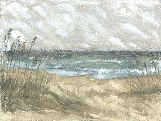 Sara G. Designs SGD255 - SGD255 - Faded Memories - 16x12 coastal beach scene, sand dunes, grasses, ocean waves, cloudy sky, painterly texture from Penny Lane