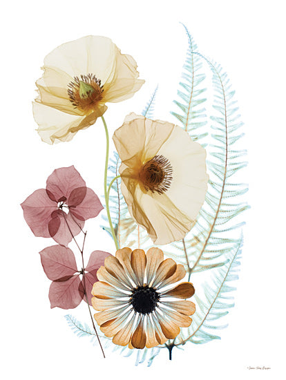 Seven Trees Design ST1144 - ST1144 - Botanical Reverie - 12x16 pressed flowers botanical composition, delicate floral artwork, botanical specimen art from Penny Lane