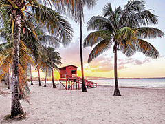 STAR223 - Tropical Twilight - 16x12