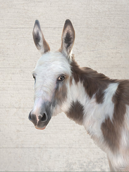 Catch A Star Fine Art STAR315 - STAR315 - Walter the Donkey - 12x16 white and brown donkey portrait, farm animal head study, rustic barn animal from Penny Lane