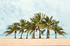 STAR319 - Playa Fortuna - 18x12