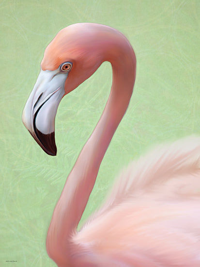 Catch A Star Fine Art STAR346 - STAR346 - Pink Plumage - 12x16 Single flamingo artwork, tropical pink bird, green background, elegant animal portrait, minimal nature print, painterly style from Penny Lane