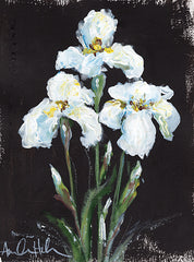 AH102 - Contrasting Irises - 12x16