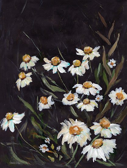 Amanda Hilburn AH160 - AH160 - Daisy Field - 12x16 Abstract, Flowers, Daisies, Spring, Spring Flower, Field, Black Background from Penny Lane