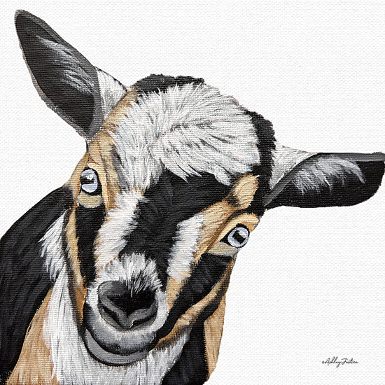 Ashley Justice AJ210 - AJ210 - Goat I - 12x12 Goat, Farm Animal, Black, Tan, and White Goat, Portrait from Penny Lane