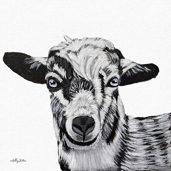 Ashley Justice AJ211 - AJ211 - Goat II - 12x12 Goat, Farm Animal, Black and White Goat, Portrait from Penny Lane