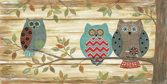 ALP1320 - Three Wise Owls - 18x9