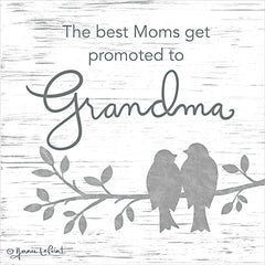 ALP2245 - Promoted to Grandma - 12x12