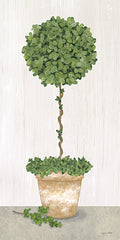 ALP2290 - Boxwood Sphere Topiary - 9x18