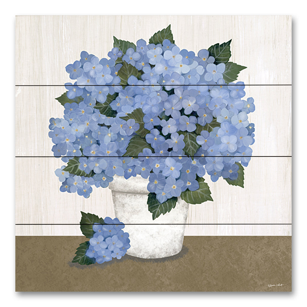 Annie LaPoint ALP2295PAL - ALP2295PAL - Blue Hydrangeas - 12x12 Hydrangeas, Blue Hydrangeas, Flowers, Potted Hydrangeas, Farmhouse/Country, Spring from Penny Lane